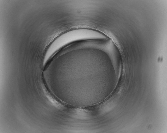 X0000091910393200709051423
