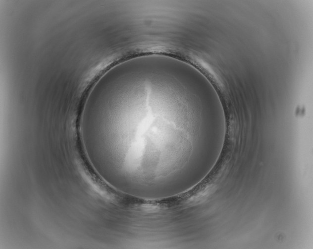 X0000091910394200709051423