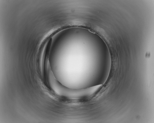 X0000091910395200709051423