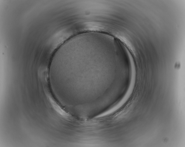X0000091910397200709051423