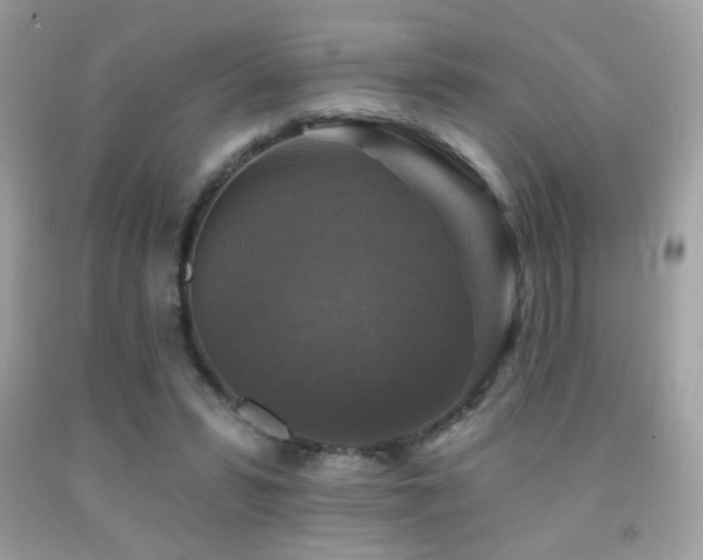 X0000091910399200709051423