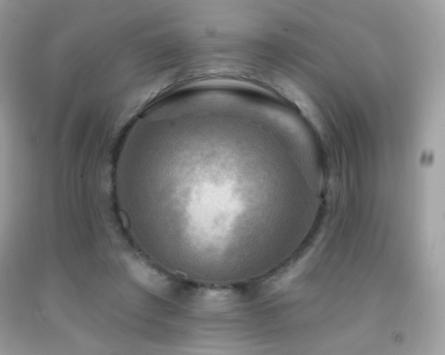 X0000091910401200709051423