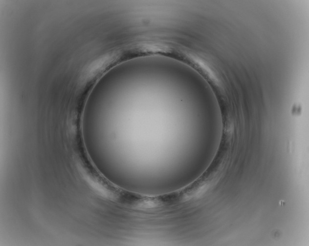 X0000091910402200709051423
