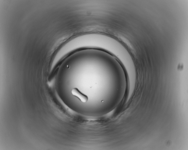 X0000091910403200709051423