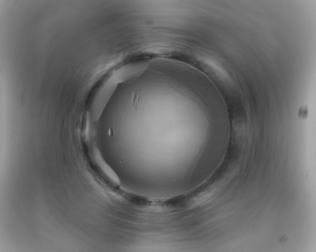 X0000091910404200709051423