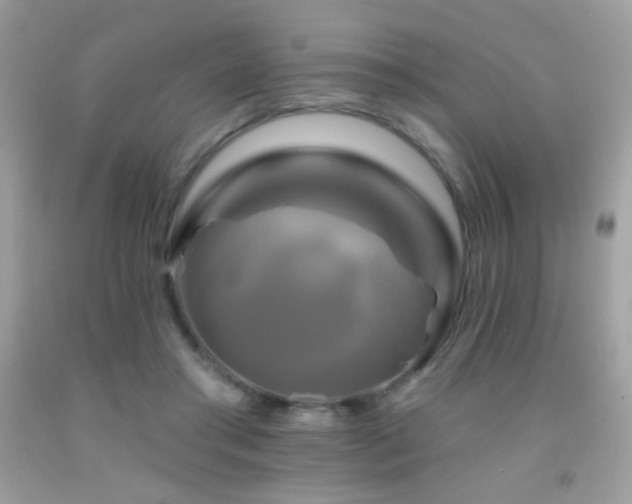 X0000091910405200709051423