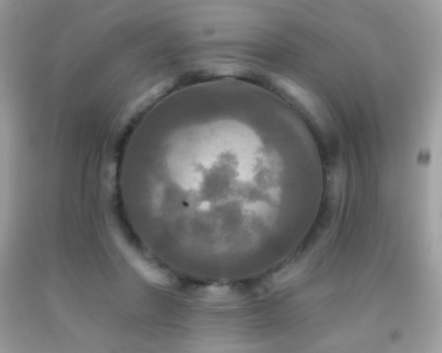 X0000091910406200709051423