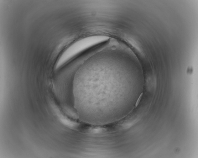 X0000091910407200709051423
