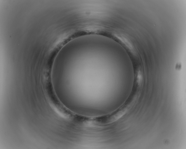 X0000091910408200709051423
