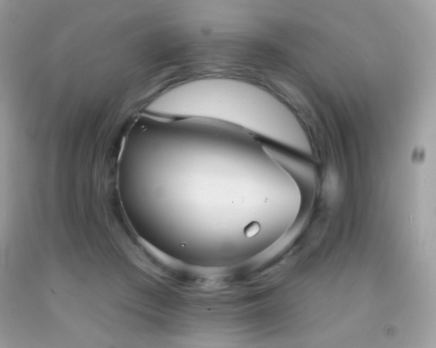 X0000091910409200709051423