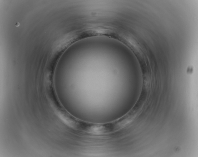 X0000091910410200709051423