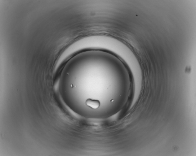 X0000091910411200709051423