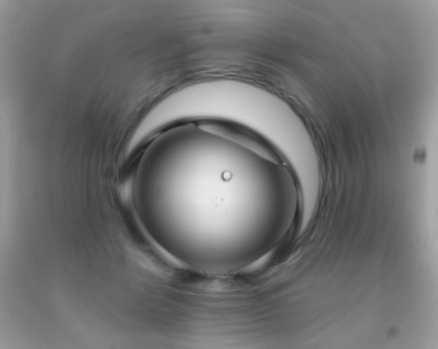 X0000091910412200709051423