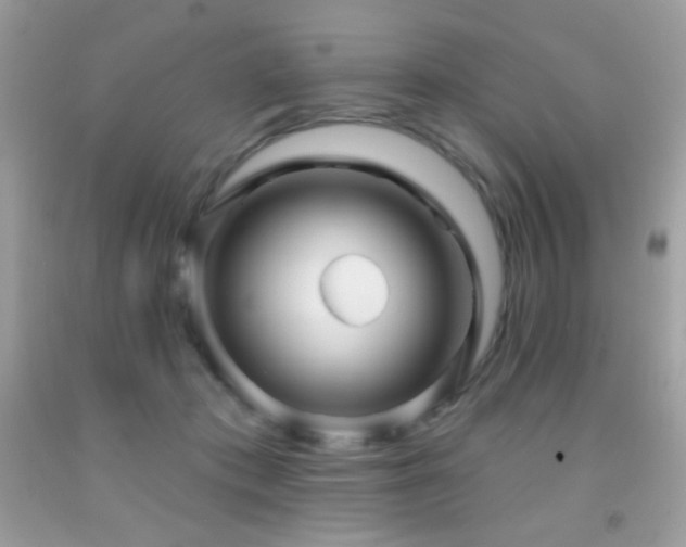 X0000091910413200709051423