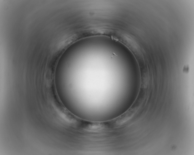 X0000091910414200709051423