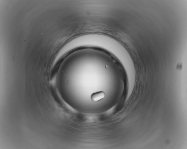 X0000091910415200709051423