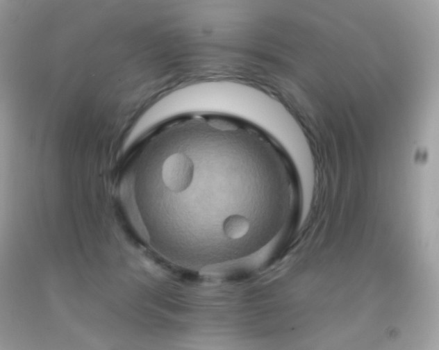 X0000091910416200709051423
