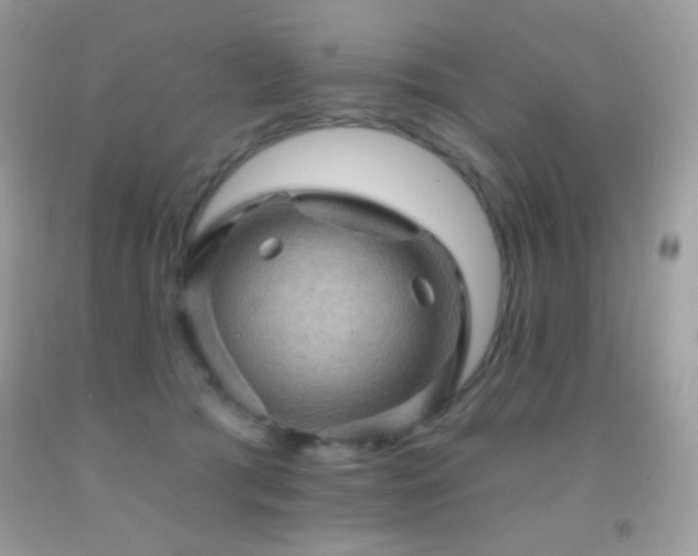 X0000091910417200709051423