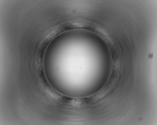 X0000091910418200709051423