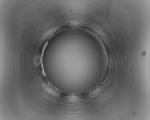 X0000091910419200709051422