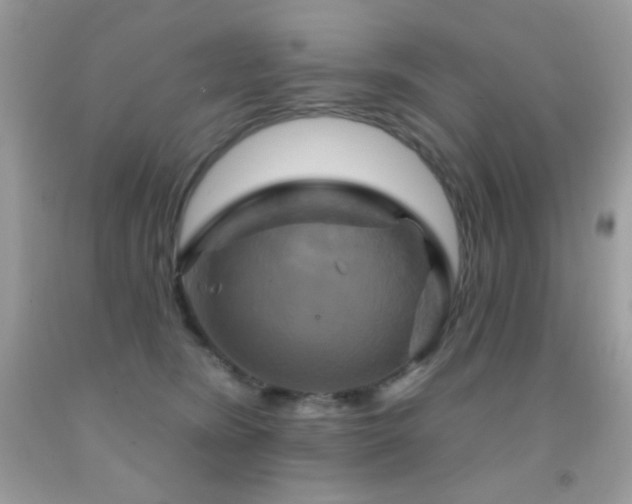 X0000091910420200709051422