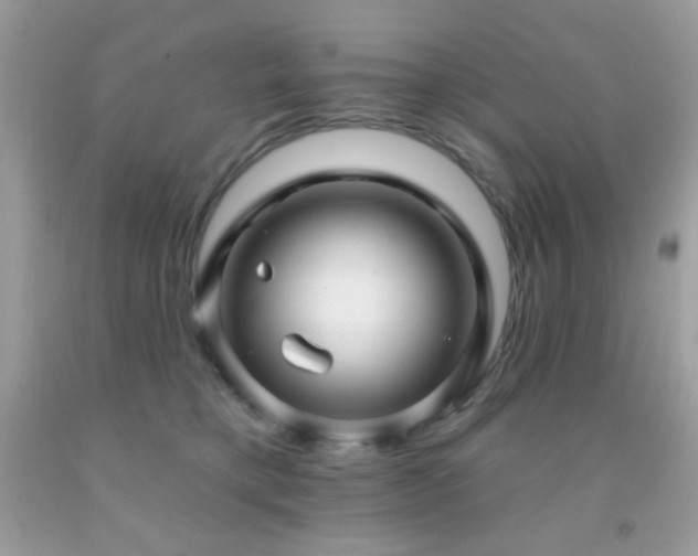 X0000091910421200709051422