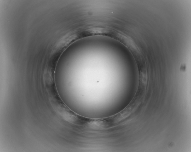 X0000091910422200709051422