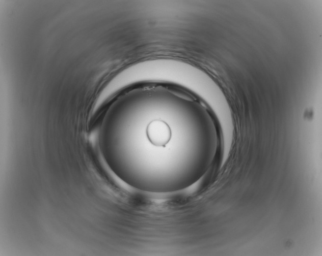 X0000091910423200709051422