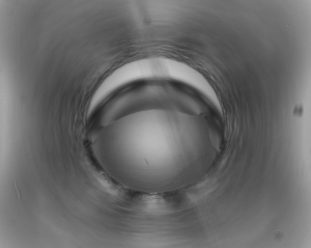 X0000091910424200709051422