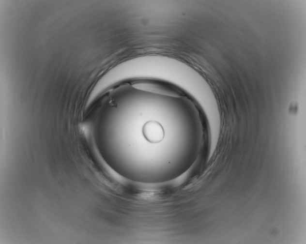 X0000091910425200709051422