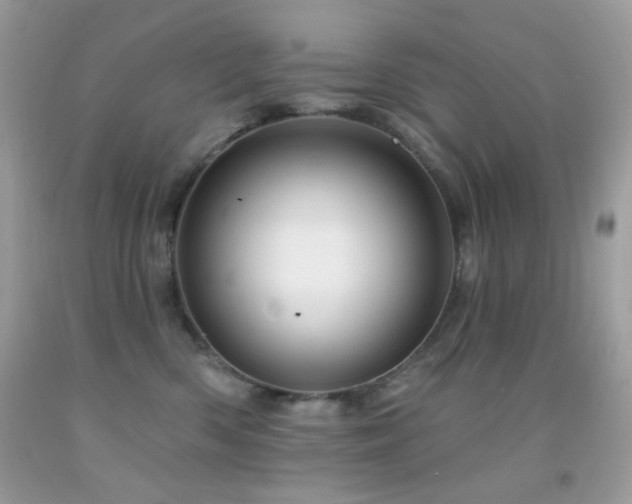 X0000091910426200709051422