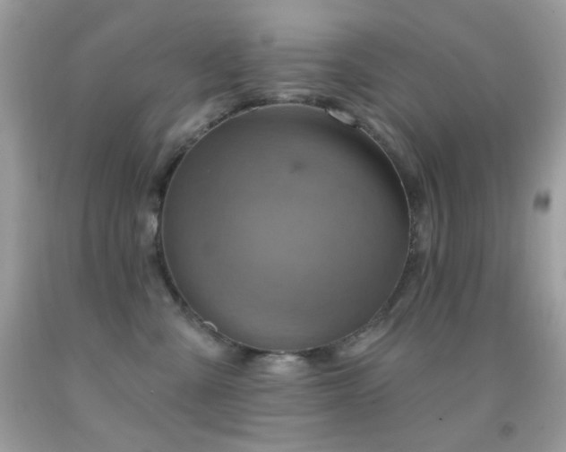 X0000091910427200709051422