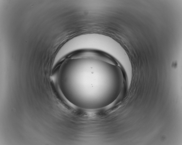 X0000091910428200709051422