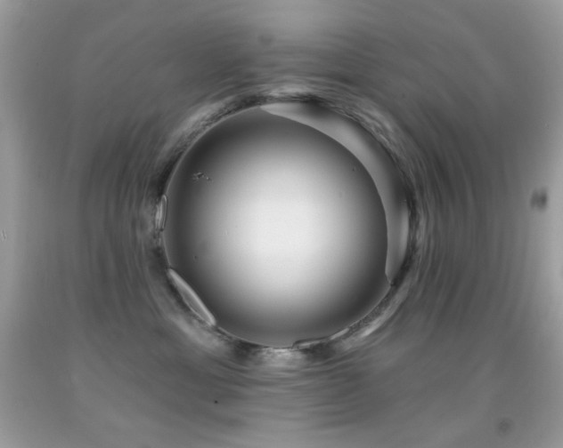 X0000091910429200709051422