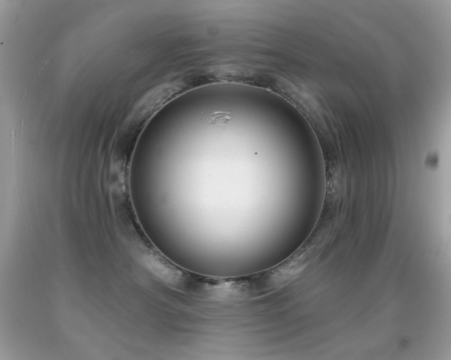 X0000091910430200709051422