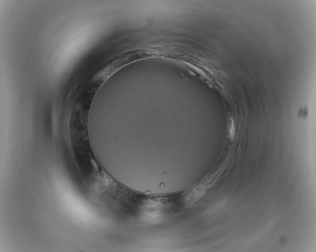 X0000091910431200709051422
