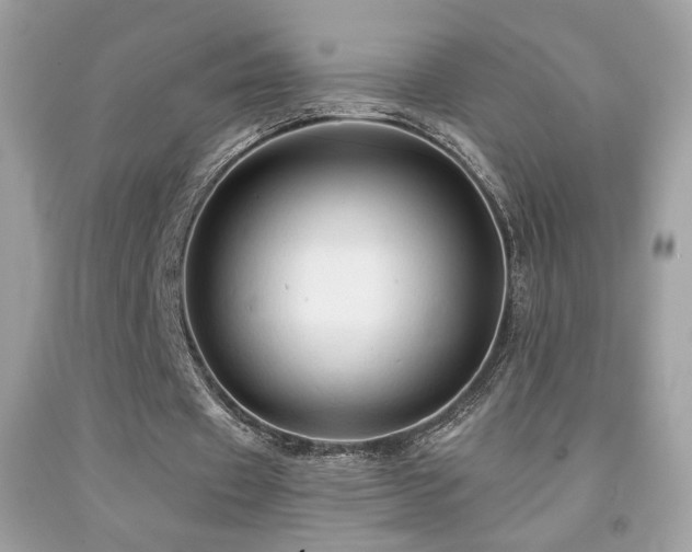 X0000091910433200709051422