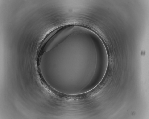 X0000091910434200709051422