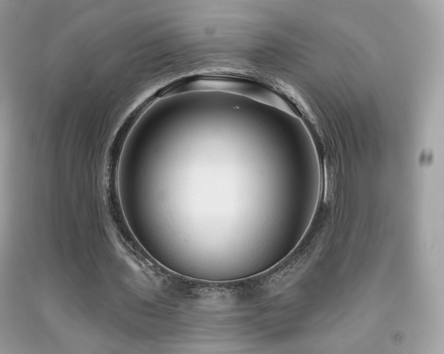 X0000091910435200709051422