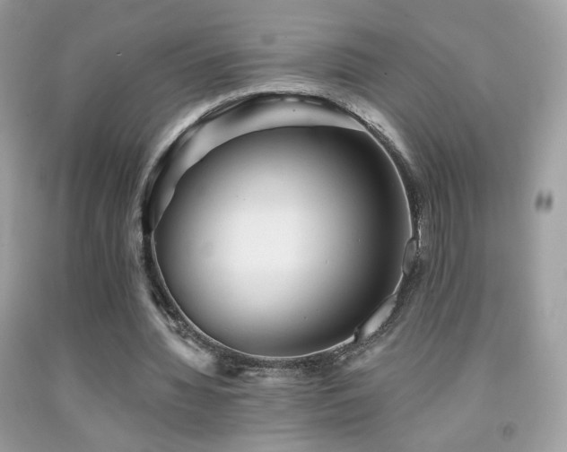 X0000091910436200709051422