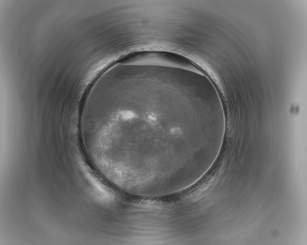 X0000091910437200709051422