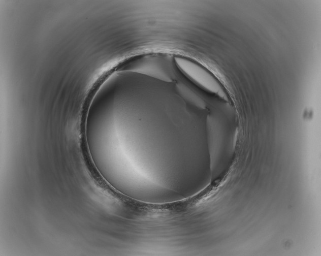 X0000091910438200709051422