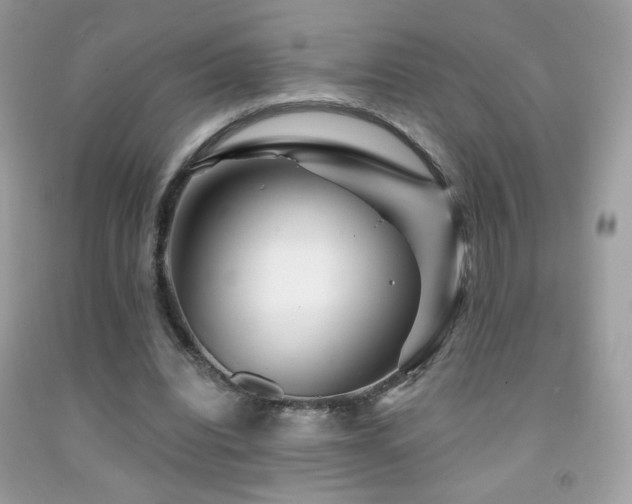 X0000091910440200709051422