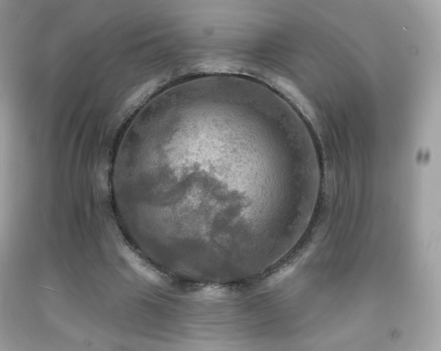 X0000091910441200709051422
