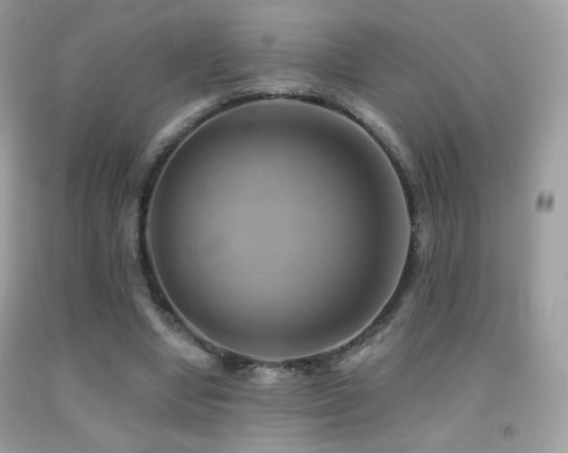 X0000091910442200709051422