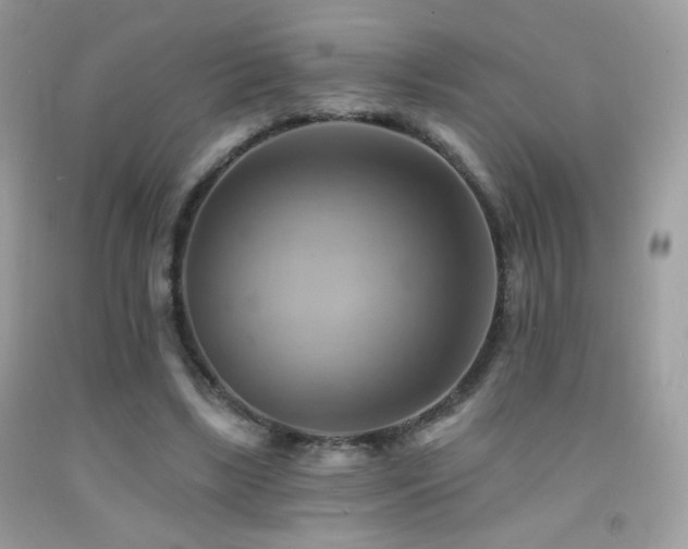 X0000091910443200709051422