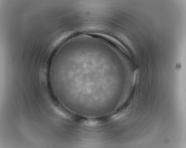 X0000091910444200709051422