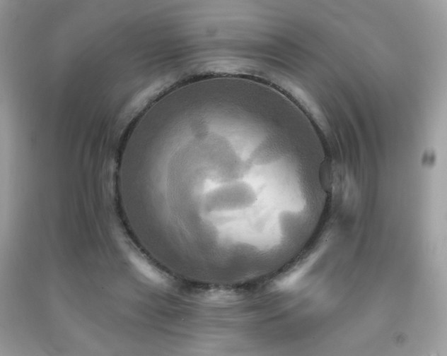 X0000091910445200709051422