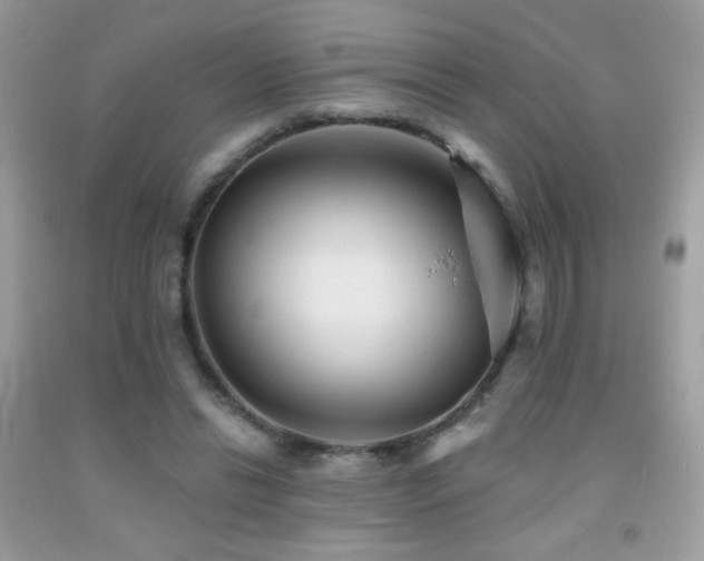 X0000091910446200709051422