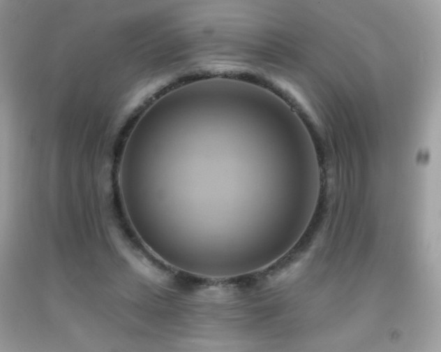 X0000091910447200709051422